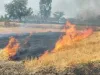 बलभद्र खेड़ा गांव के पास अज्ञात कारणों से खेत मे  लगी आग