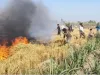 Haryana Farmers: ओले या बारिश ही नहीं आग भी बरसा रही किसानों पर आफत, 16 एकड़ में फैली गेहूं की फसल खाक