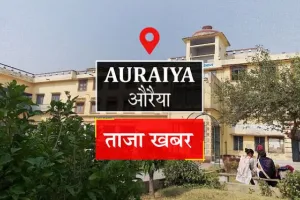 Auraiya News : दुकानदार ने किसान को दिया नकली प्याज का बीज जिससे किसान को हुआ लाखो का नुकसान।
