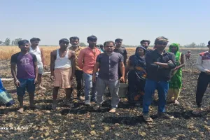 Bahraich News :  खेत में आग लगने से , कई बीघा फसल जलकर राख 